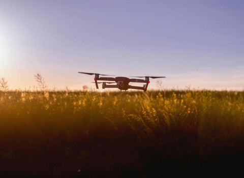 Can drones safeguard Europe's wildlife?